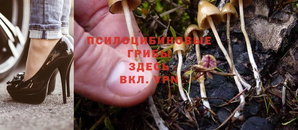 мяу мяу мука Покров