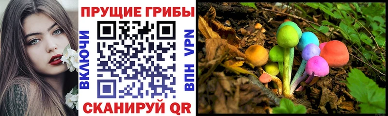 Псилоцибиновые грибы Psilocybine cubensis Козловка